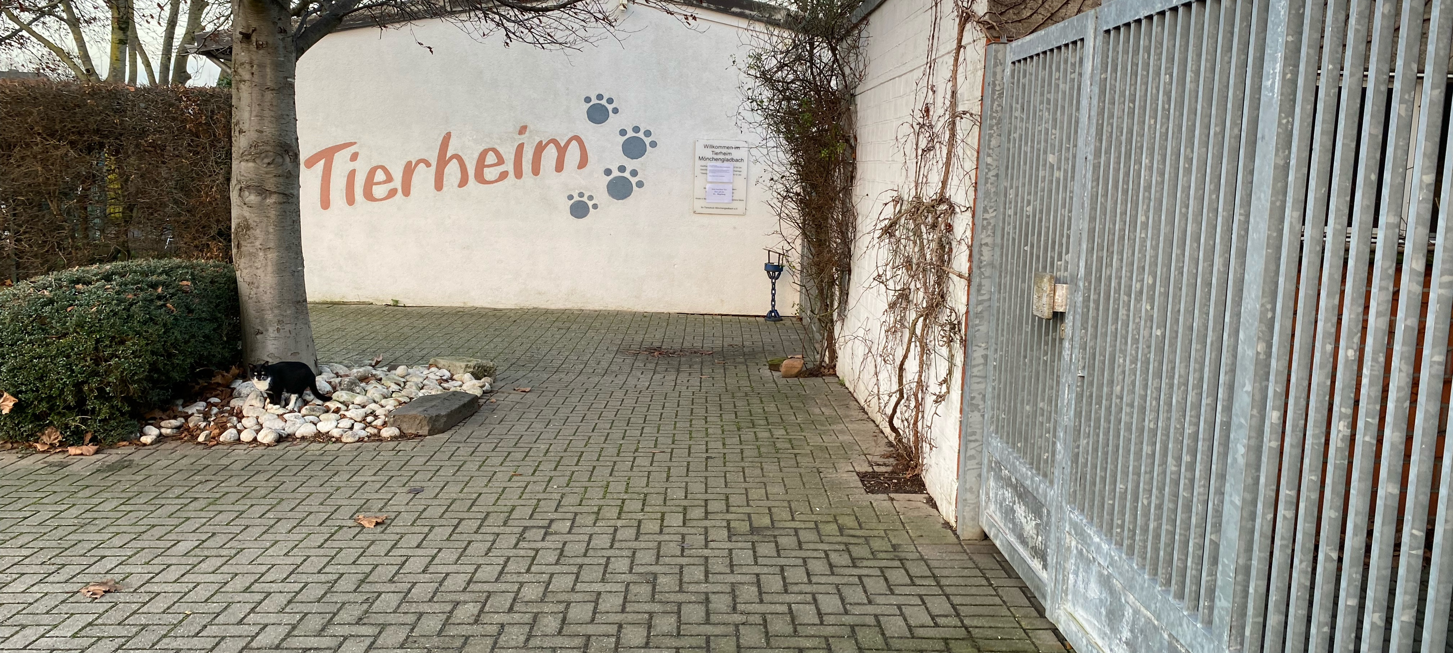 Mönchengladbacher Tierheim hat finanzielle Probleme