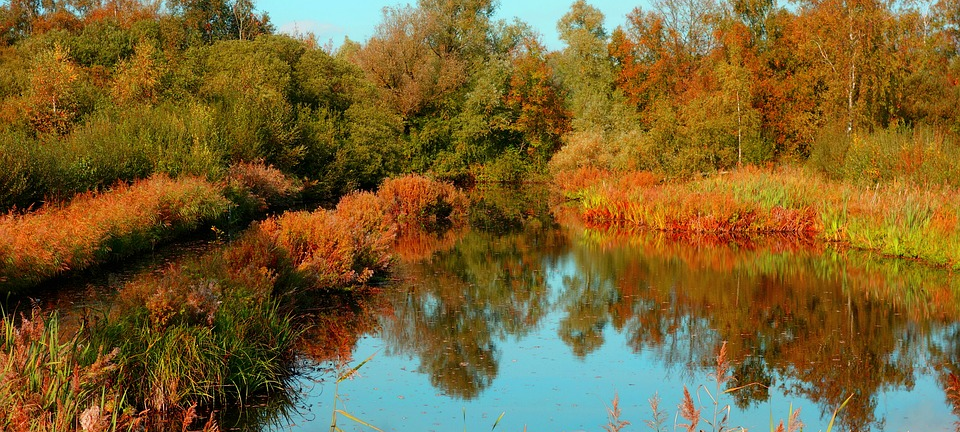 Mitreden bei geplanten Naturschutzgebieten