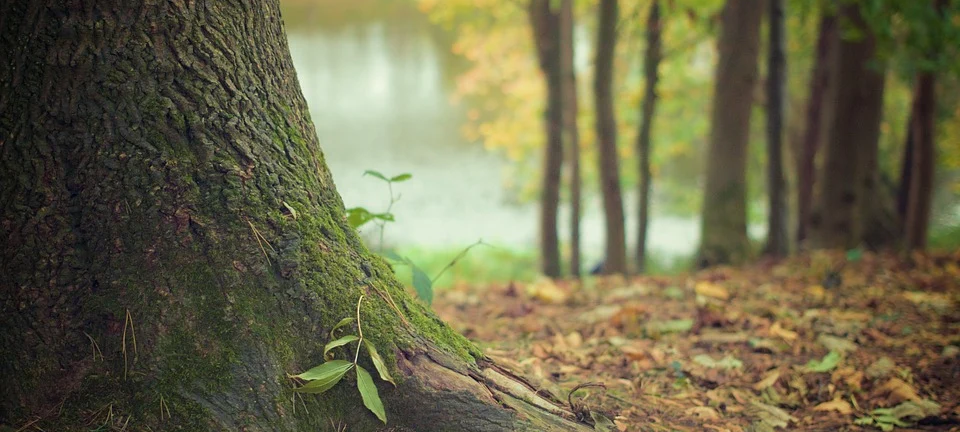 Stadt sucht Naturschutzwärter
