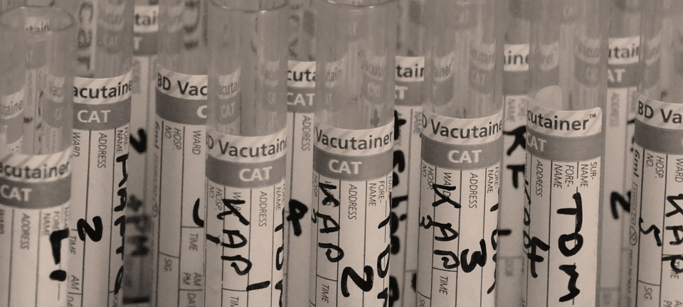 Giesenkirchen: Chemikalien im Grundwasser