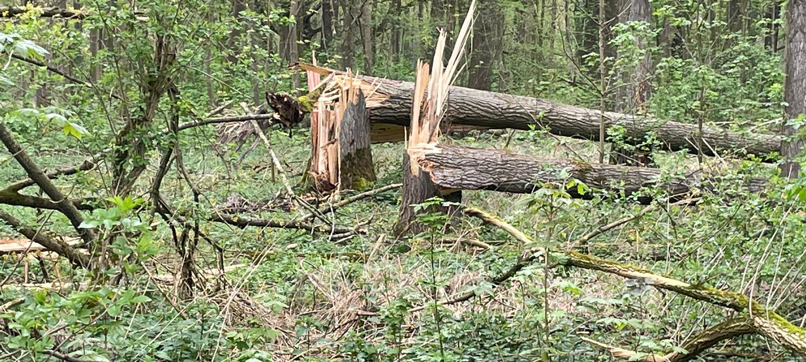 Unwetter sorgt für Feuerwehreinsätze