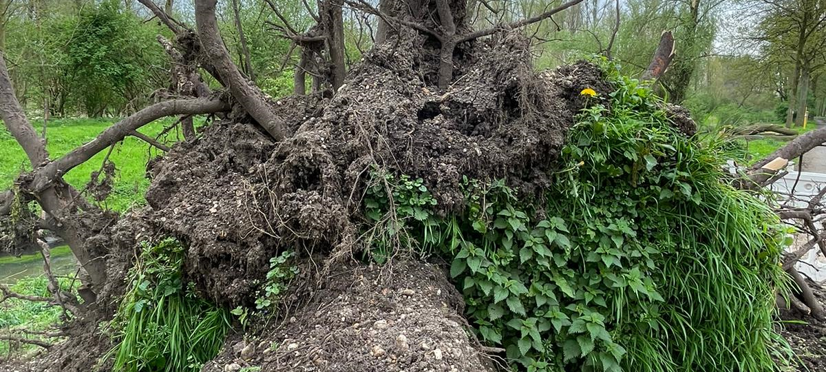 Schäden durch Tornado auch in Mönchengladbach