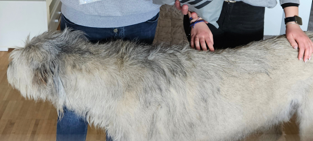 Die Gladbach-Rekorde Staffel 2
